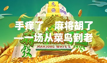 手痒了，麻将胡了—一场从菜鸟到老手的逆袭之路